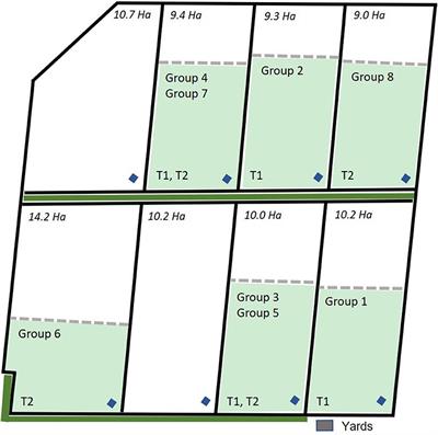 Virtual Fence Responses Are Socially Facilitated in Beef Cattle